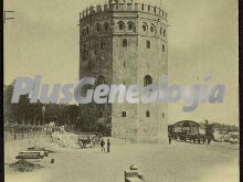 Torre del oro de sevilla