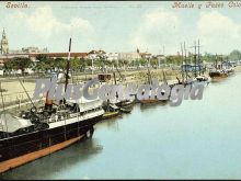 Muelle y paseo colón de sevilla