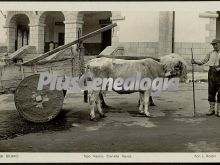 Ver fotos antiguas de tradiciones en BILBAO