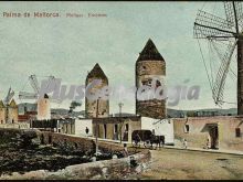 Foto antigua de PALMA DE MALLORCA