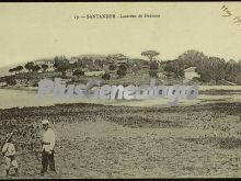 Ver fotos antiguas de Parques, Jardines y Naturaleza de PEDROSA