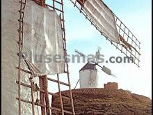 Ver fotos antiguas de parques, jardines y naturaleza en CONSUEGRA