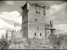 Castillo de guadamur (toledo)