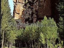 Ver fotos antiguas de parques, jardines y naturaleza en CORDUENTE