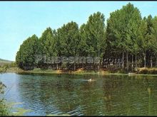 Río bullaque y club yedra en piedrabuena (ciudad real)