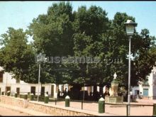 Ver fotos antiguas de plazas en ALBADALEJO