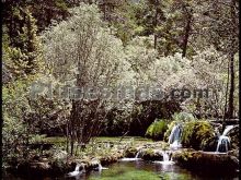 Nacimiento del río cuervo en vega del codorno (cuenca)