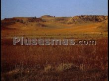 Comarca natural la alcarria al noroeste de cuenca