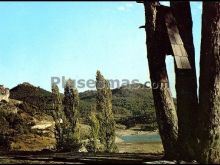 Ver fotos antiguas de parques, jardines y naturaleza en LA TOBA