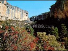 Ver fotos antiguas de parques, jardines y naturaleza en BETETA