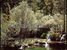 Nacimiento del río cuervo en vega de codorno (cuenca)