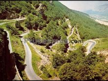 Ver fotos antiguas de parques, jardines y naturaleza en NAVARRA