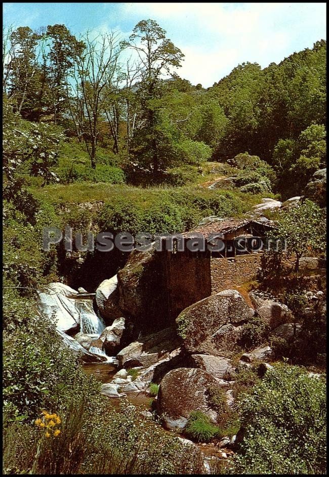 Foto antigua de PROVINCIA DE CACERES