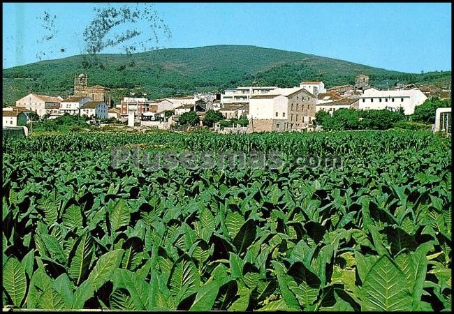 Foto antigua de PROVINCIA DE CACERES