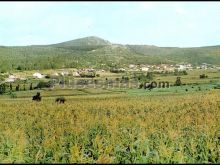 Foto antigua de PROVINCIA DE LA CORUÑA