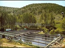 Piscifactoría de la fontona en muriel de la fuente (soria)