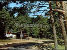 Cafetería playa pita en la villa ribereña de abejar (soria)