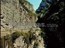 Ver fotos antiguas de parques, jardines y naturaleza en OSEJA DE SAJAMBRE