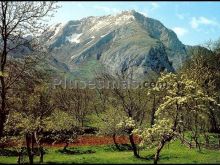 Valle de sajambre (picos europa, león)