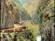 Desfiladero de los bellos en el valle de sajambre (picos de europa, león)