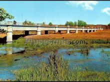Puente sobre el orbigo en carrizo de la rivera (león)