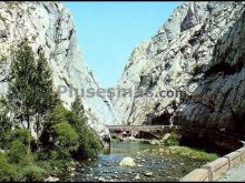 Puente sobre torío y carretera excavada en la roca. vegacervera (león)