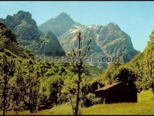 La peguera. camino de posada de valdeón a cain (picos de europa, león)