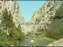 Puente sobre el torio y carretera. hoces de vegacervera (león)