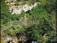 Ver fotos antiguas de Parques, Jardines y Naturaleza de REVILLA DE POMAR