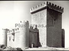 Castillo de villalonso (zamora)