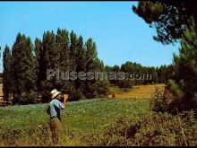 Ver fotos antiguas de Parques, Jardines y Naturaleza de JUARROS DE VOLTOYA