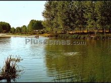 Ver fotos antiguas de parques, jardines y naturaleza en PERAL DE ARLANZA