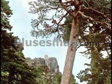 Naturaleza en neila (burgos)