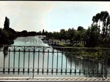 Ver fotos antiguas de Parques, Jardines y Naturaleza de HERRERA DE DUERO