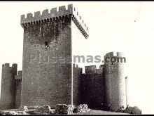 Castillo de villalonso (zamora)