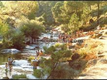 Río arbillas en poyales del hoyo (ávila)