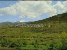 Ver fotos antiguas de Parques, Jardines y Naturaleza de VILLATORO