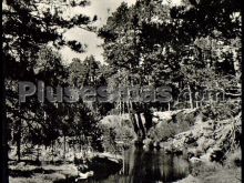 Ver fotos antiguas de parques, jardines y naturaleza en NAVARREDONDA DE LA SIERRA