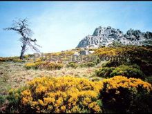 Sierra del arenal (ávila)