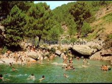 El charco verde en guisando (ávila)