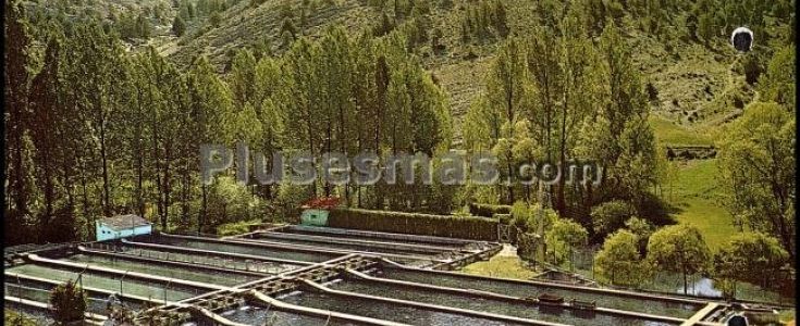 Fotos antiguas de MURIEL DE LA FUENTE