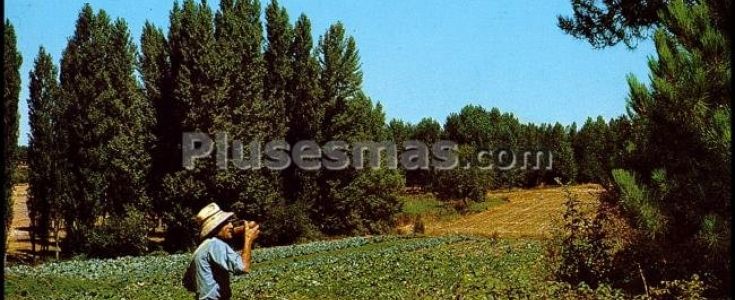 Fotos antiguas de JUARROS DE VOLTOYA