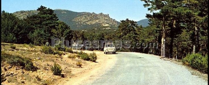 Fotos antiguas de PEGUERINOS