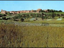 Vista de laguardia en la rioja alavesa (álava)