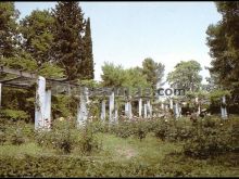 Ver fotos antiguas de parques, jardines y naturaleza en ALCAUDETE