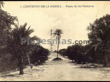 Paseo de las palmeras. convento de la rábida (huelva)