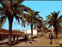 Paseo de vazquez días en nerva (huelva)