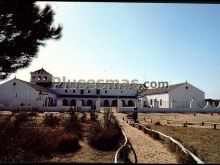 Ver fotos antiguas de Parques, Jardines y Naturaleza de EL ACEBUCHE