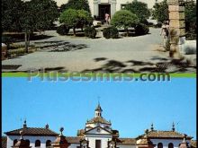 Maternidad y hogar de ancianos de montellano (sevilla)