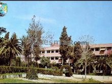 Jardines y clases del colegio de castilleja de la cuesta (sevilla)